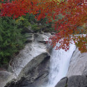 10.04_Fall_East_TN_016