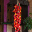 2008PuertoVallarta400