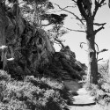 EParker_071029_081