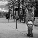 "Henri" takes five from giving childern rides in Paris's Luxembourg Gardens.
