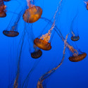 JParker_071012_0505