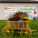 Jason's_Stadecken-Elsheim_(1)