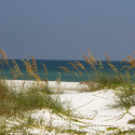 StJoe2