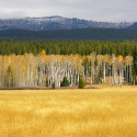 yellowstoneNP